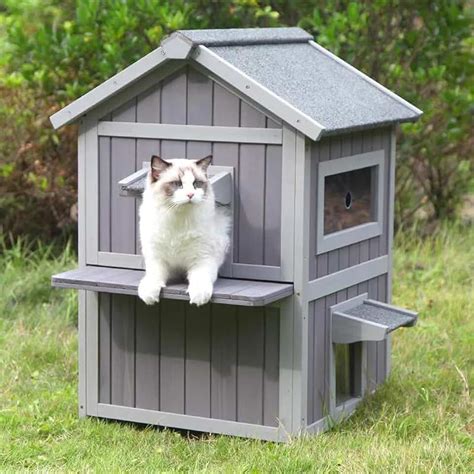 amazon cat house